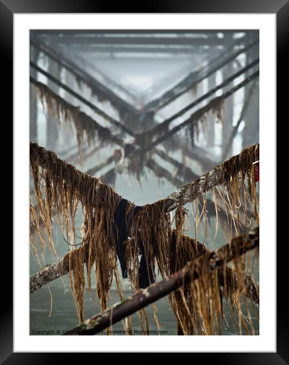 Under the Pier- Perspectives Framed Mounted Print by Tomasz Goli