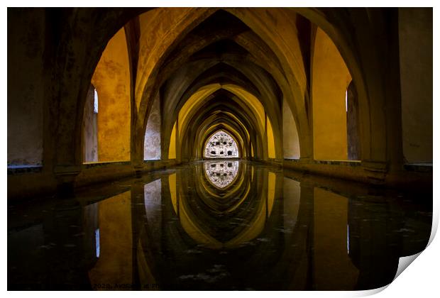 Alcazar underground bath Print by Tomasz Goli