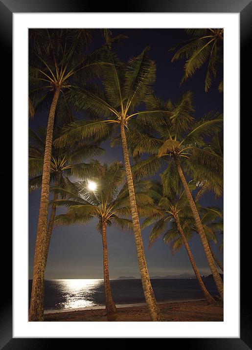 Moon Palms Framed Mounted Print by David McLean