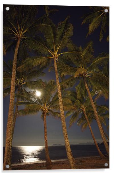 Moon Palms Acrylic by David McLean