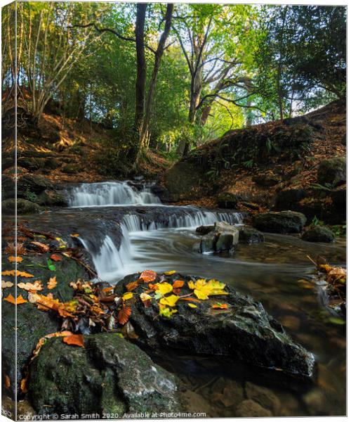Autumnal waterfall  Canvas Print by Sarah Smith