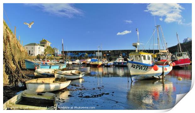 Mevagissey Harbour, Cornwall. Print by Neil Mottershead