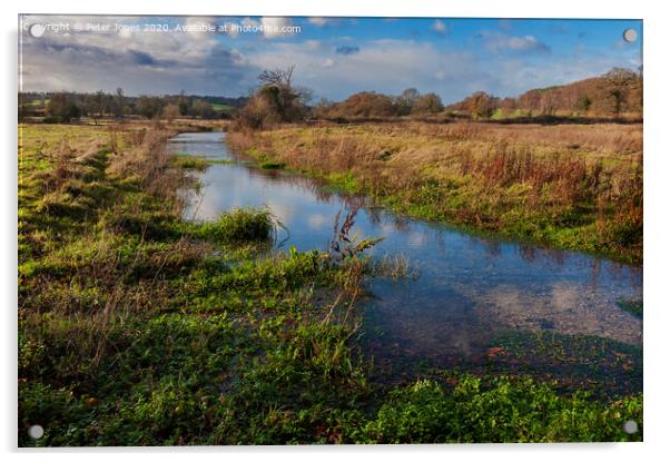River Misbourne, Little Missenden, Buckinghamshire Acrylic by Peter Jones