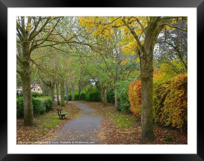 Autumnal Walk . Framed Mounted Print by Antoinette B