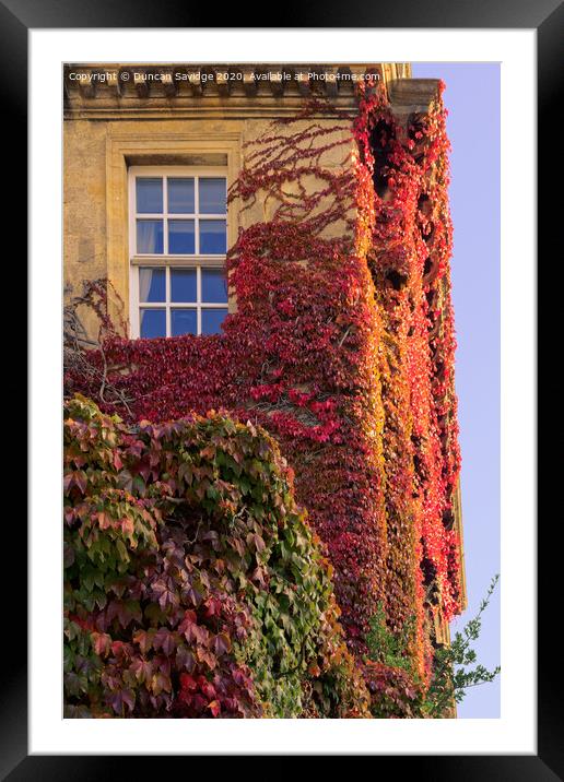 Autumn at Queens Square Bath as the Ivy turns red close up Framed Mounted Print by Duncan Savidge