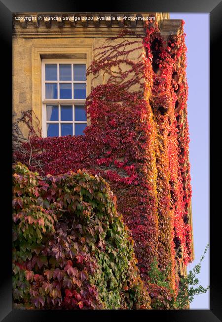 Autumn at Queens Square Bath as the Ivy turns red close up Framed Print by Duncan Savidge