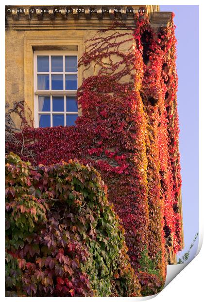 Autumn at Queens Square Bath as the Ivy turns red close up Print by Duncan Savidge