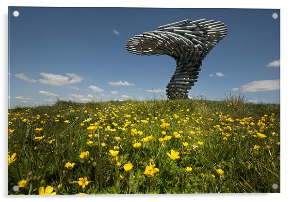 The Singing Ringing Tree Acrylic by Eddie John