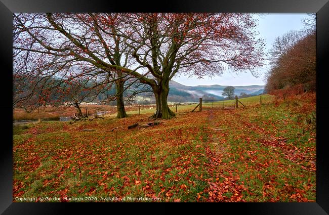 Autumn on the banks of Talybont Reservoir Framed Print by Gordon Maclaren