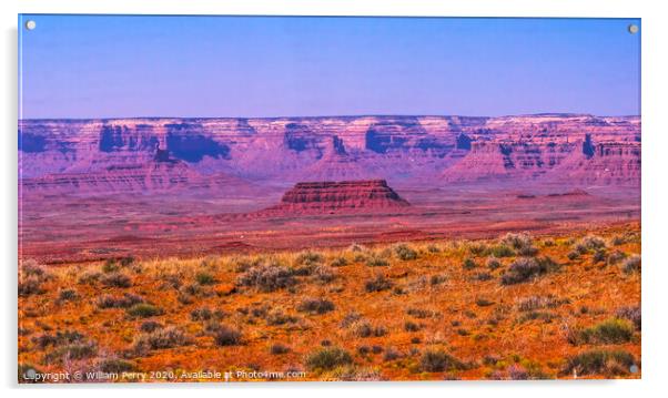 Valley of the Gods Mesa Rock Formations Monument Valley Utah Acrylic by William Perry