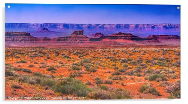 Valley of the Gods Mesa Rock Formations Monument Valley Utah Acrylic by William Perry