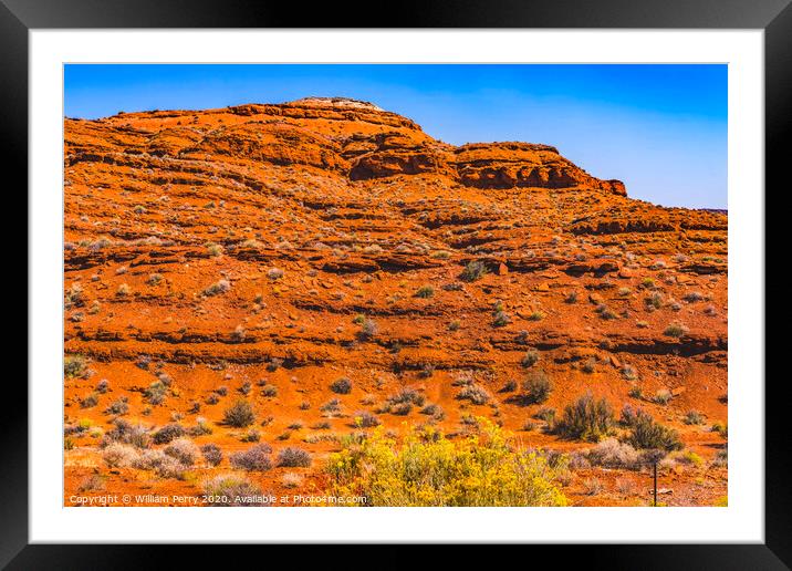 Colorful Yellow Daisies Red Mountain Monument Valley Utah Framed Mounted Print by William Perry