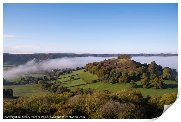 Mist Rising over Downham Hill in Dursley Print by Tracey Turner