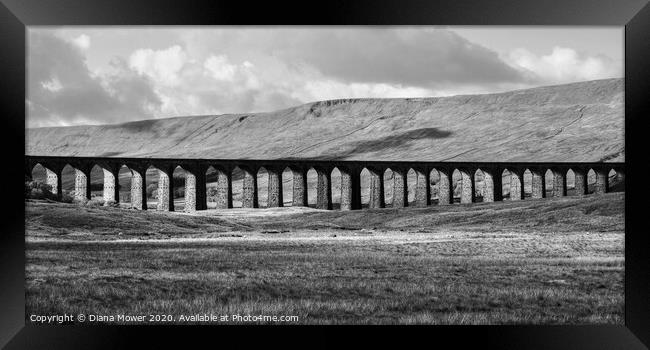 Ribblehead Viaduct in monochrome Framed Print by Diana Mower