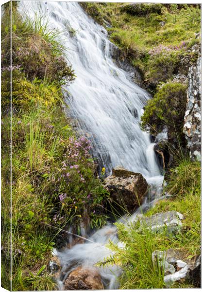 Waterfall in Mayo, Ireland Canvas Print by Phil Crean