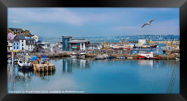 Busy Brixham Harbour Framed Print by Frank Irwin