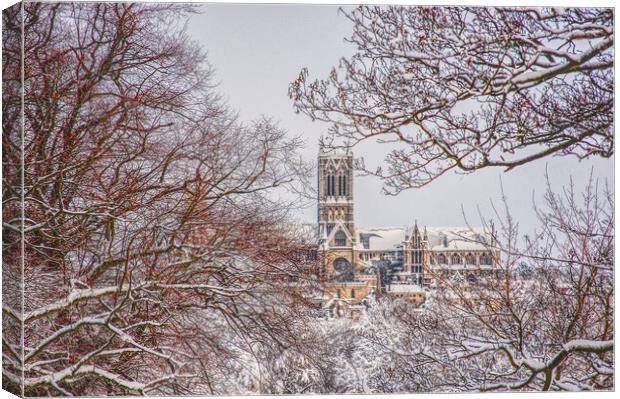 Lincoln cathedral framed by snowy tree's  Canvas Print by Jon Fixter