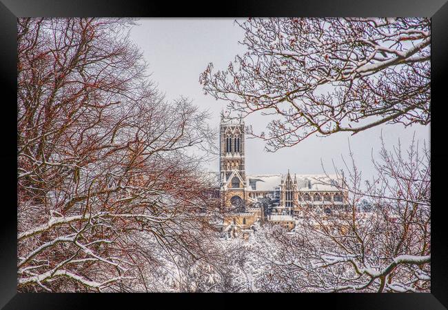 Lincoln cathedral framed by snowy tree's  Framed Print by Jon Fixter