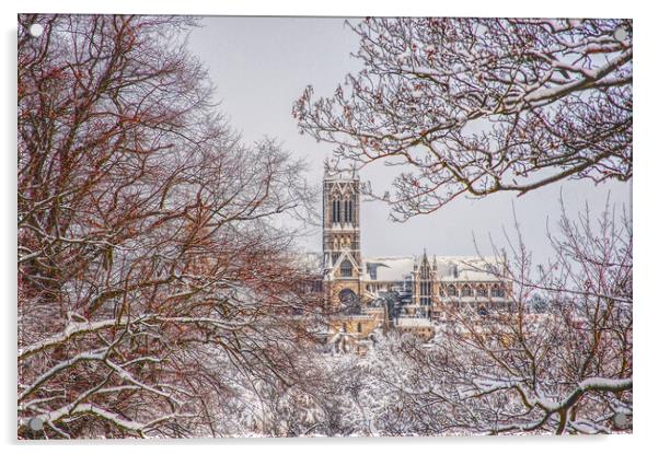 Lincoln cathedral framed by snowy tree's  Acrylic by Jon Fixter