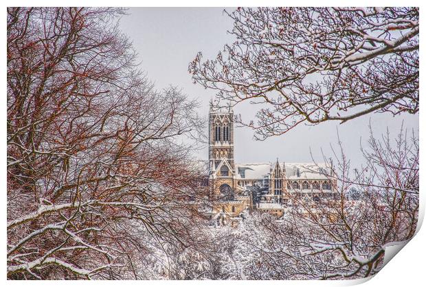 Lincoln cathedral framed by snowy tree's  Print by Jon Fixter