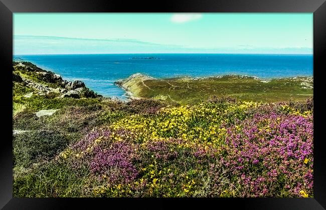 Penmaen Dewi - St. David's Head Framed Print by Paddy Art