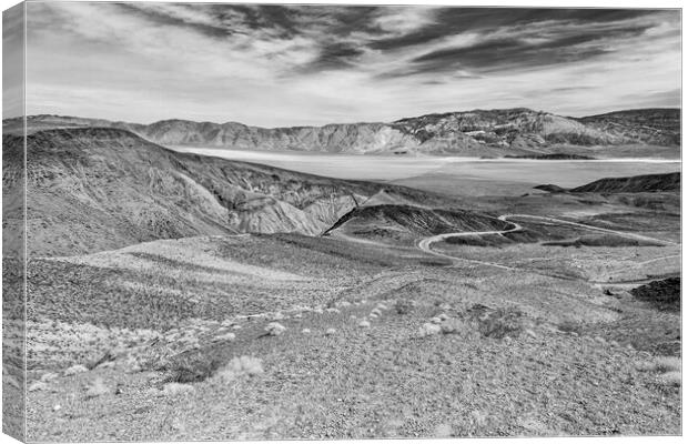 The deserts of Death Valley Canvas Print by David Hare