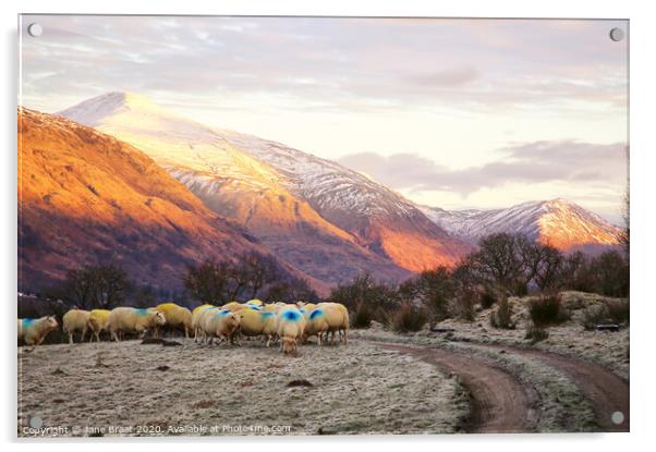 Argyll Winter Landscape Acrylic by Jane Braat