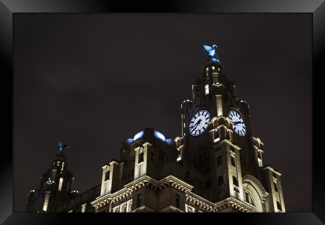 Liver Birds above Liverpool lit up at night Framed Print by Jason Wells