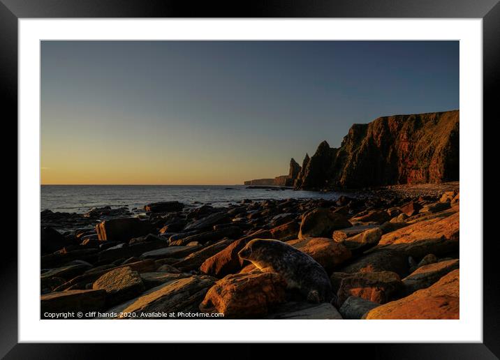 Duncansby Stacks Seal Framed Mounted Print by Scotland's Scenery