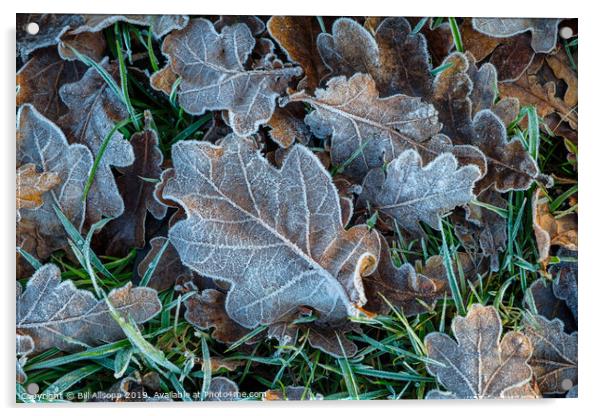 Oak leaves in winter. Acrylic by Bill Allsopp