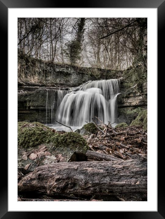 Lost Kingdom Framed Mounted Print by Dave Carroll