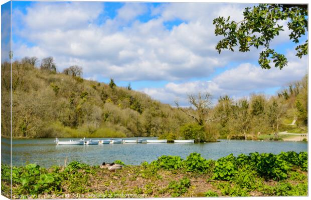 Swanbourne Boating Lake Canvas Print by Geoff Smith