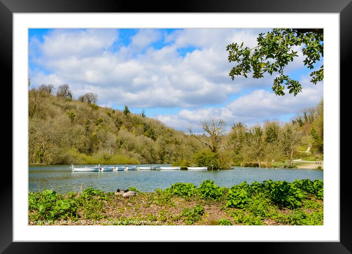 Swanbourne Boating Lake Framed Mounted Print by Geoff Smith