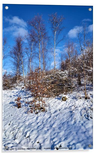First snow of winter Acrylic by Gordon Maclaren