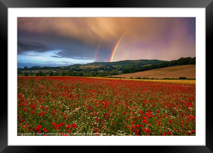 Rainbow Poppies Framed Mounted Print by Wight Landscapes