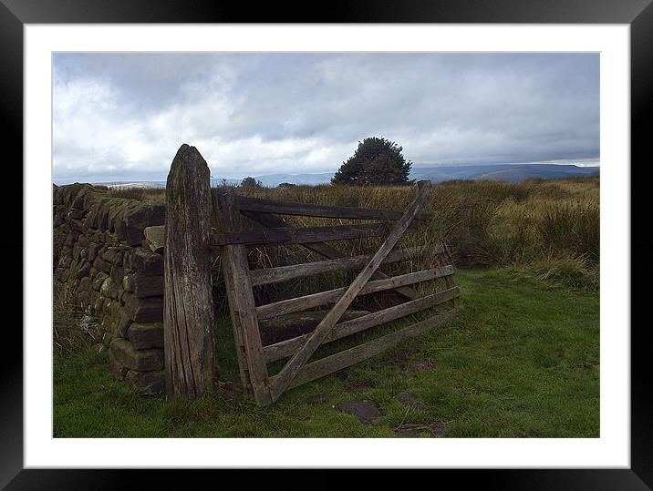 The Gate Framed Mounted Print by Wayne Molyneux