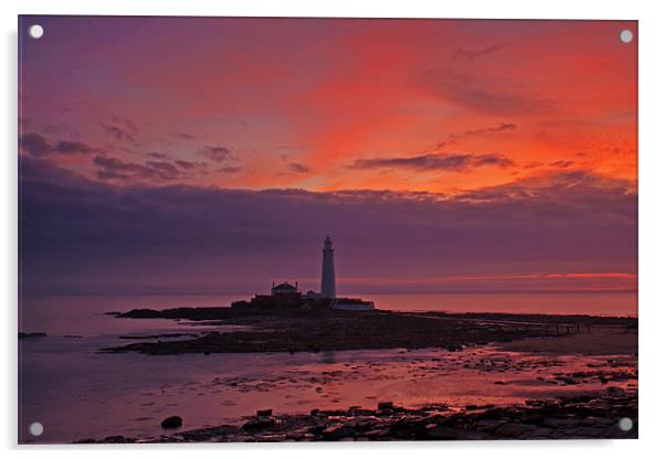 St Marys Lighthouse Sunrise Acrylic by David Pringle