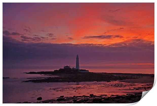 St Marys Lighthouse Sunrise Print by David Pringle