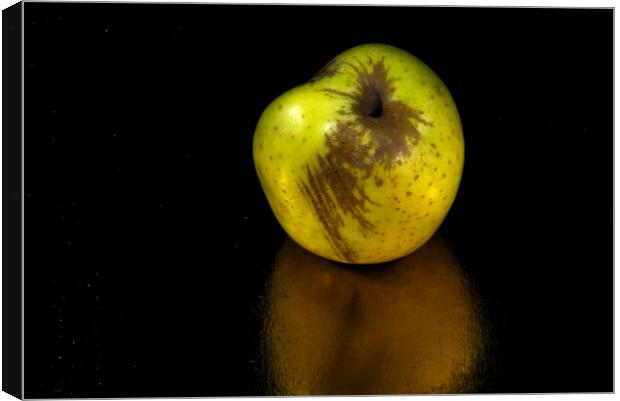 Still life with an apple and its reflection Canvas Print by Jose Manuel Espigares Garc
