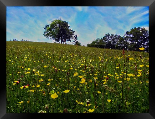 Fragrant Meadow Framed Print by Richie Fairlamb