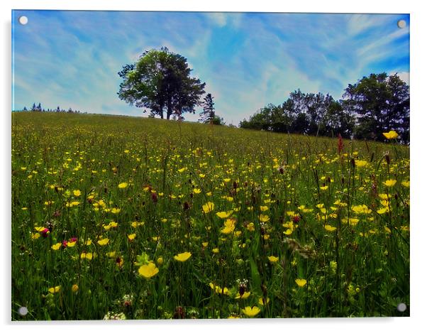 Fragrant Meadow Acrylic by Richie Fairlamb