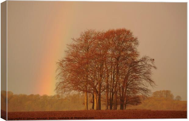 Storm light and trees Canvas Print by Simon Johnson