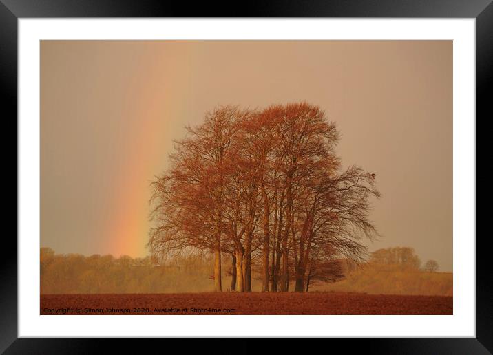 Storm light and trees Framed Mounted Print by Simon Johnson