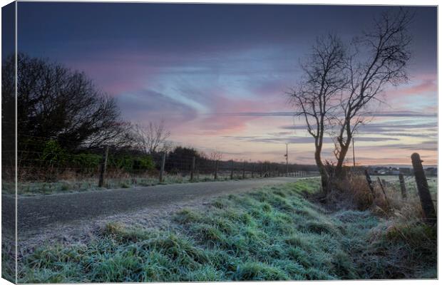 A Winter morning at Cefn-Bryn-Brain Canvas Print by Leighton Collins