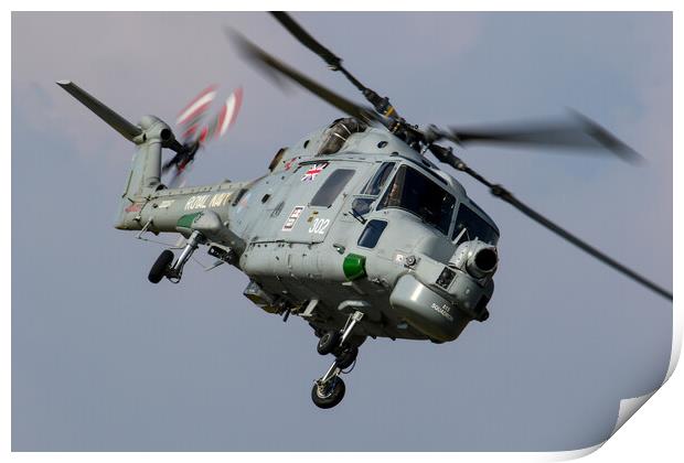 815 Squadron Lynx Print by Oxon Images