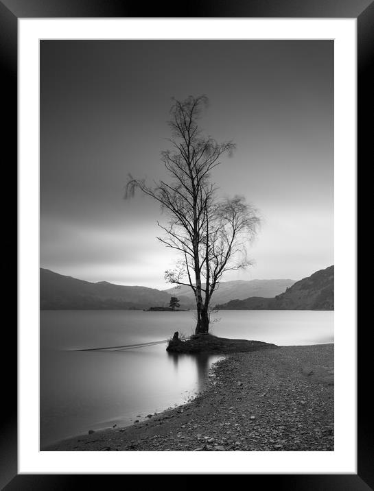 Single Tree On Ullswater Framed Mounted Print by Phil Durkin DPAGB BPE4