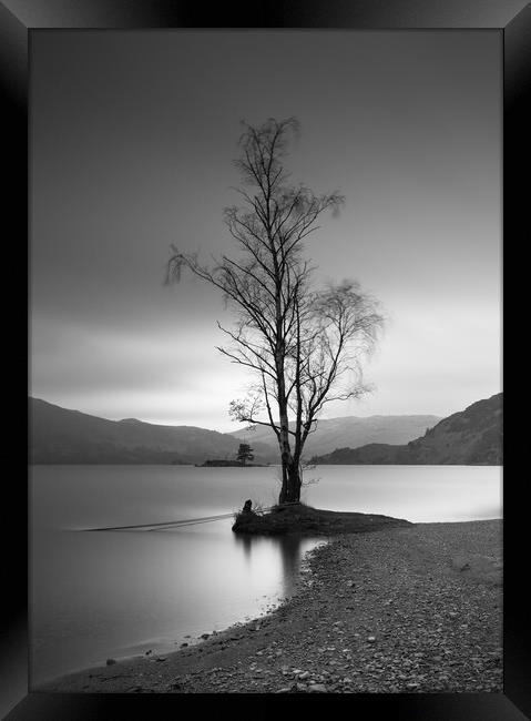 Single Tree On Ullswater Framed Print by Phil Durkin DPAGB BPE4