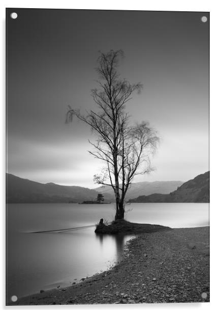 Single Tree On Ullswater Acrylic by Phil Durkin DPAGB BPE4