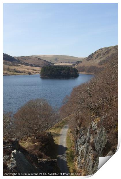 View from above Devil's Gulch Elan valley Print by Ursula Keene