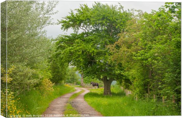 Captivating Cumbrian Countryside: Horse and Trees Canvas Print by Holly Burgess